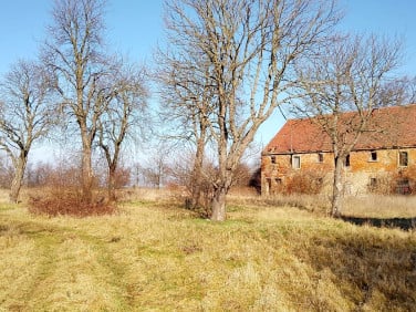 Budynek użytkowy Wyskok