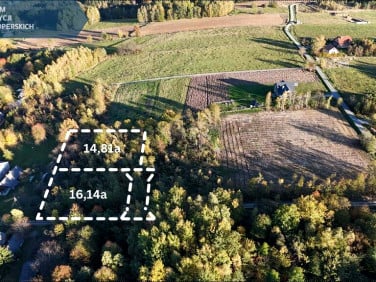 Działka Lubenia