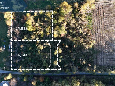 Działka Lubenia