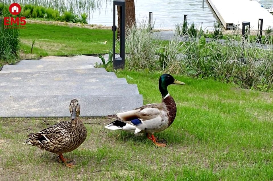 Budynek użytkowy Augustów