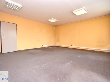 Lokal Siemianowice Śląskie wynajem