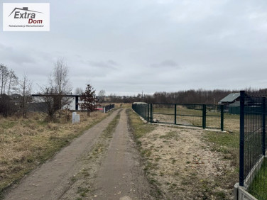 Działka nad morzem