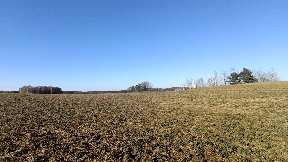 Działka budowlano-rolna Lepaki Wielkie sprzedam