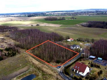 Działka budowlana Gołębiewo Wielkie sprzedam