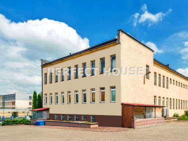 Budynek użytkowy Sępólno Krajeńskie sprzedaż