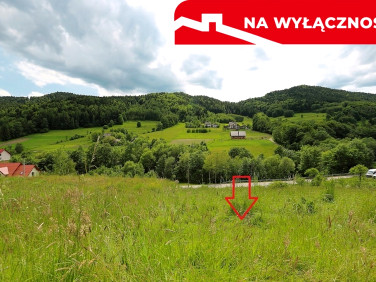 Działka MŁYŃCZYSKA