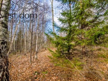 Działka budowlano-rolna Ropica Górna