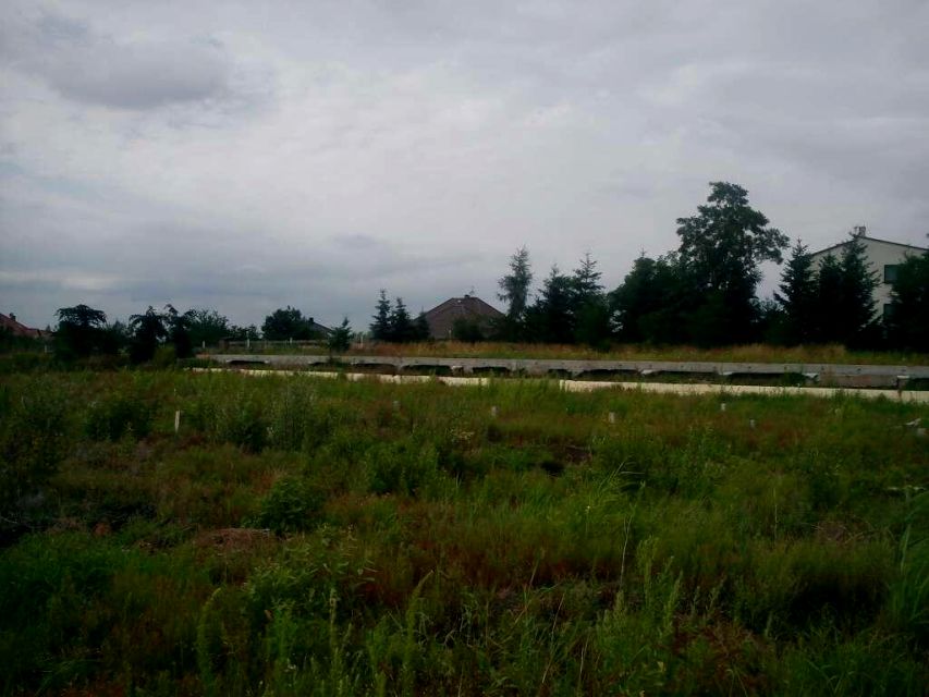 Działka usługowa Wisznia Mała sprzedam