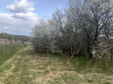 Działka budowlana Lgota sprzedam