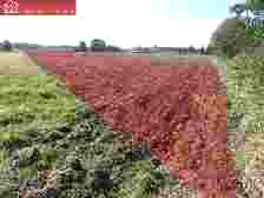 Działka usługowa Byków sprzedam