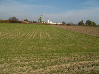 Działka rolna Byków sprzedam