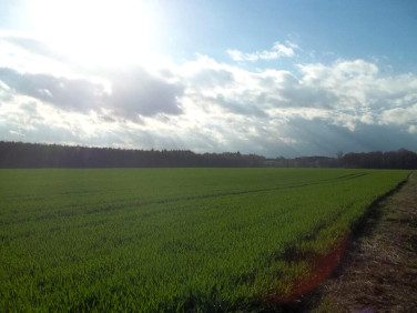 Działka przemysłowa Borowa Oleśnicka sprzedam