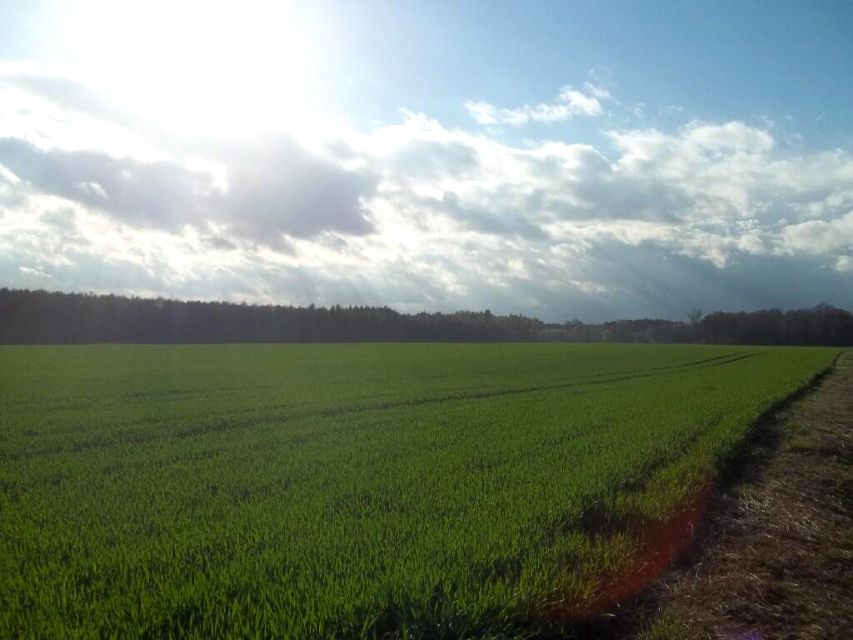 Działka przemysłowa Borowa Oleśnicka sprzedam