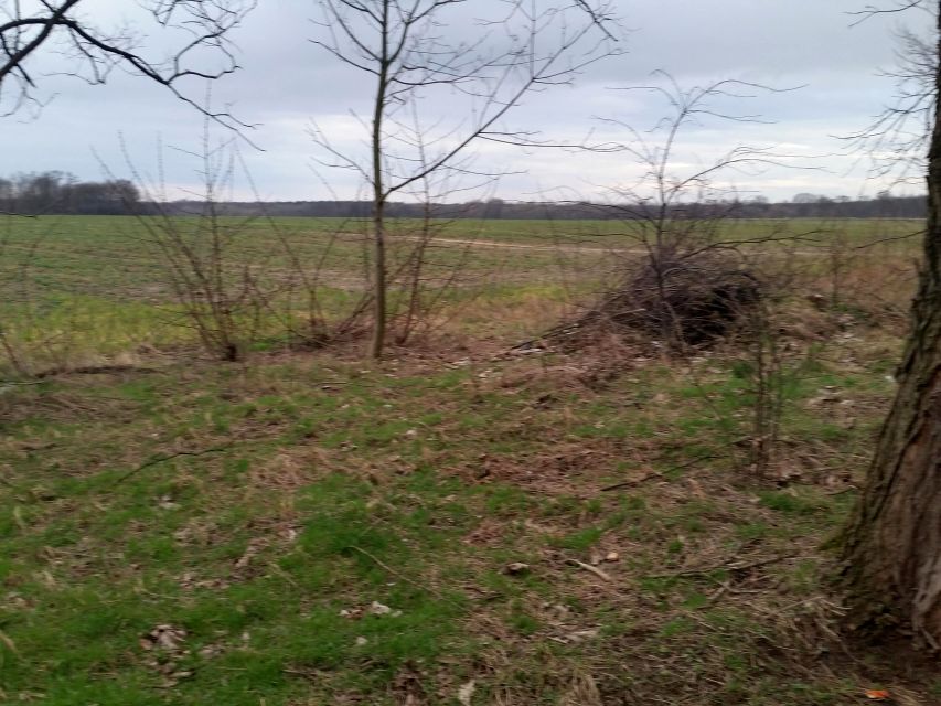 Działka usługowa Mirków sprzedam