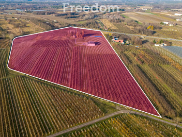 Ogrodzona działka sprzedam