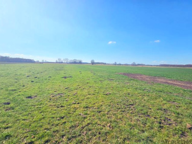 Działka rolna Niałek Wielki