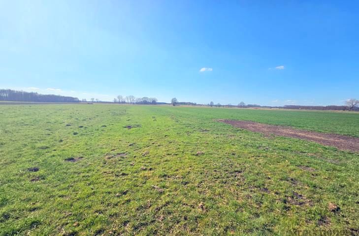 Działka rolna Niałek Wielki