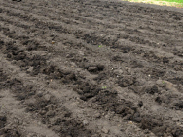 Działka rolna Osiek Mały