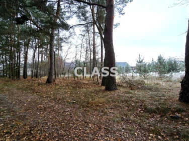 Działka budowlana Ciechocinek