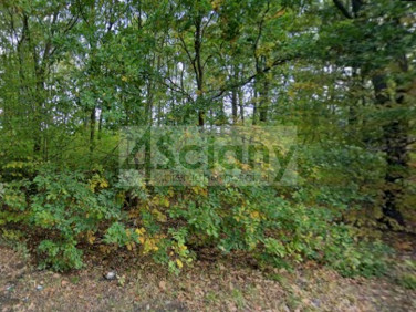 Działka budowlana Grodzisk Mazowiecki