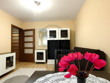 Mieszkanie Łódź sprzedaż