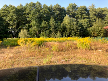 Działka budowlana Kuriany sprzedam