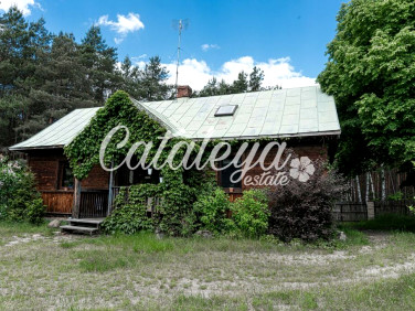 Działka WOLA WŁADYSŁAWOWSKA