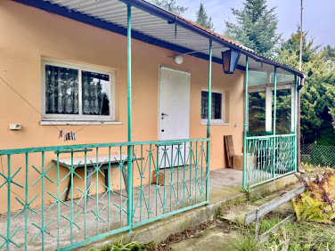 Działka rekreacyjna Romanów