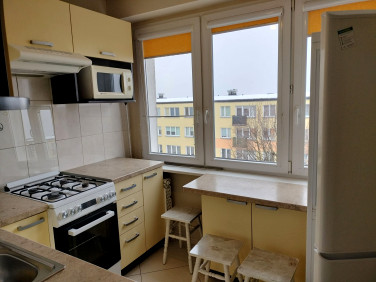 Mieszkanie Kalisz wynajem