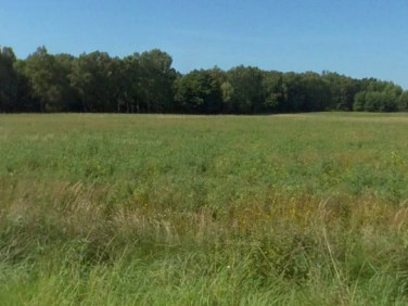 Działka rolna Białogard