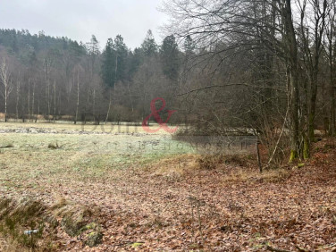 Działka siedliskowa Sierakowice