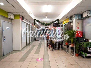 Budynek użytkowy Warszawa