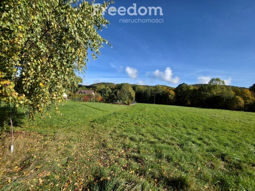 Działka budowlana Rzyki