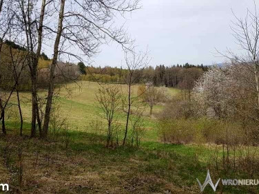 Działka budowlana Chocieszów