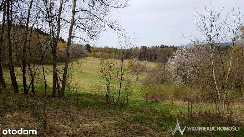 Działka budowlana Chocieszów