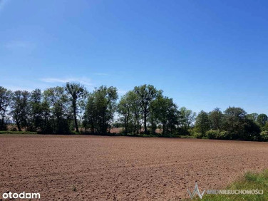 Działka Bogdaszowice