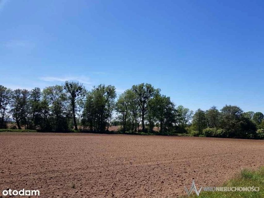 Działka Bogdaszowice