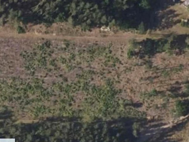 Działka inna Skrybicze sprzedam