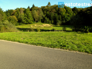 Działka Drohobyczka