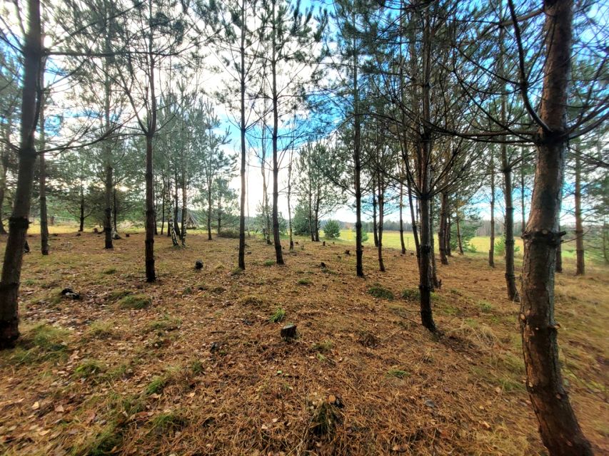 Działka budowlana Sopieszyno