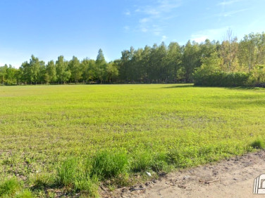 Działka rolna Białogard