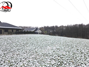 Działka Lubraniec-Parcele