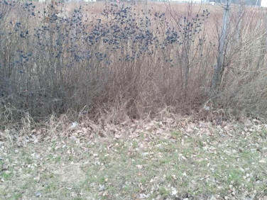 Działka usługowa Długołęka sprzedam