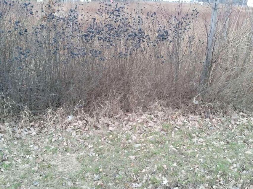 Działka usługowa Długołęka sprzedam