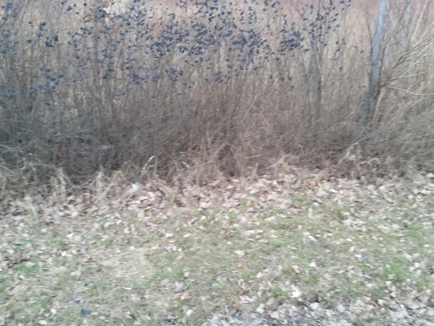 Działka przemysłowa Borowa sprzedam