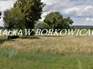 Działka budowlana Borkowice