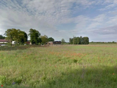 Działka budowlana Koninko