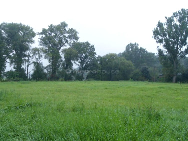 Działka budowlana Koninko