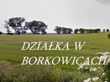 Działka budowlana Borkowice