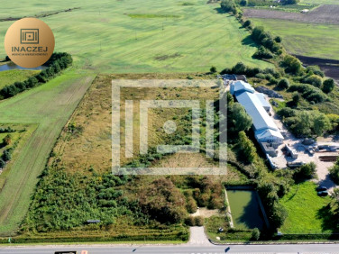 Działka przemysłowa Gołębiewko